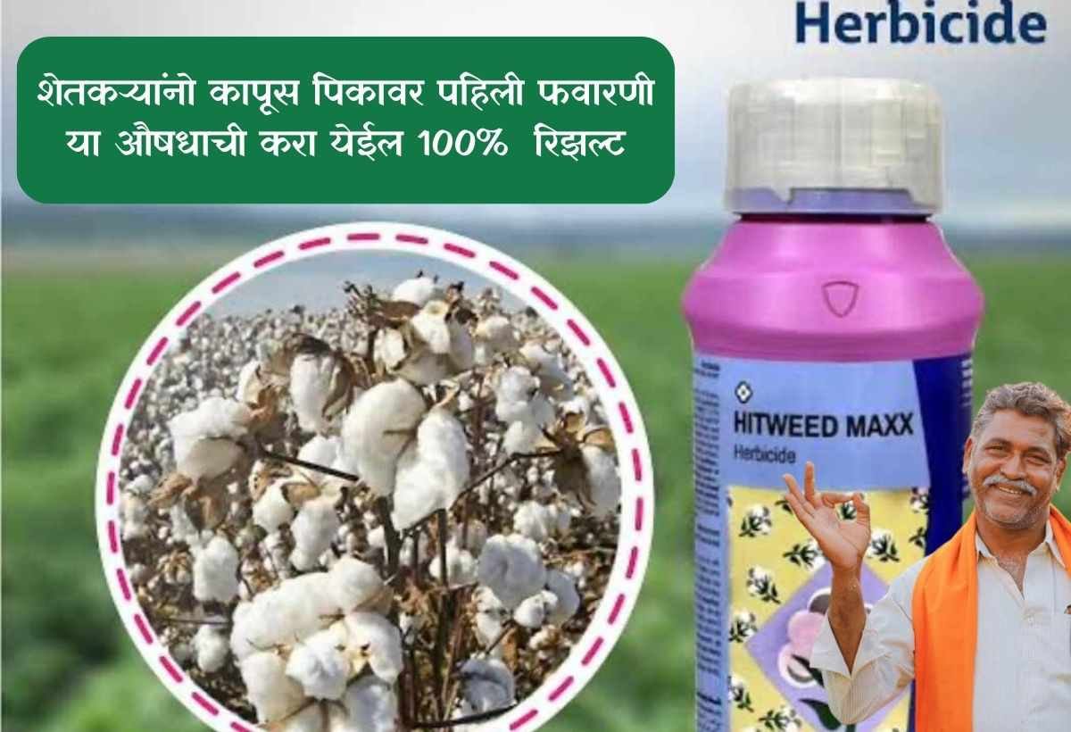 cotton pesticides in india कापूस पिकावर पहिली फवारणी कोणत्या औषधांनी करावी.? आणि केव्हा करावी.? पहा पूर्ण माहिती