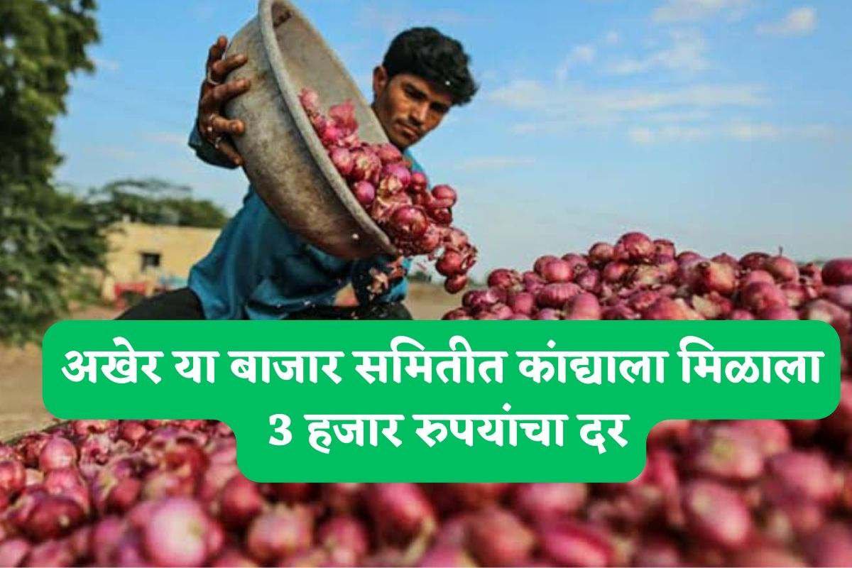 Maharashtra Onion Rate :अखेर कांद्याला 3 हजारांचा भाव! कोणत्या बाजाराला विक्रमी बाजारभाव मिळाला? येथे पहा एका क्लिकवर...