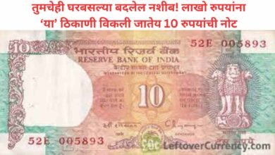 Old Note Sale : तुमचेही घरबसल्या बदलेल नशीब! लाखो रुपयांना ‘या’ ठिकाणी विकली जातेय 10 रुपयांची नोट