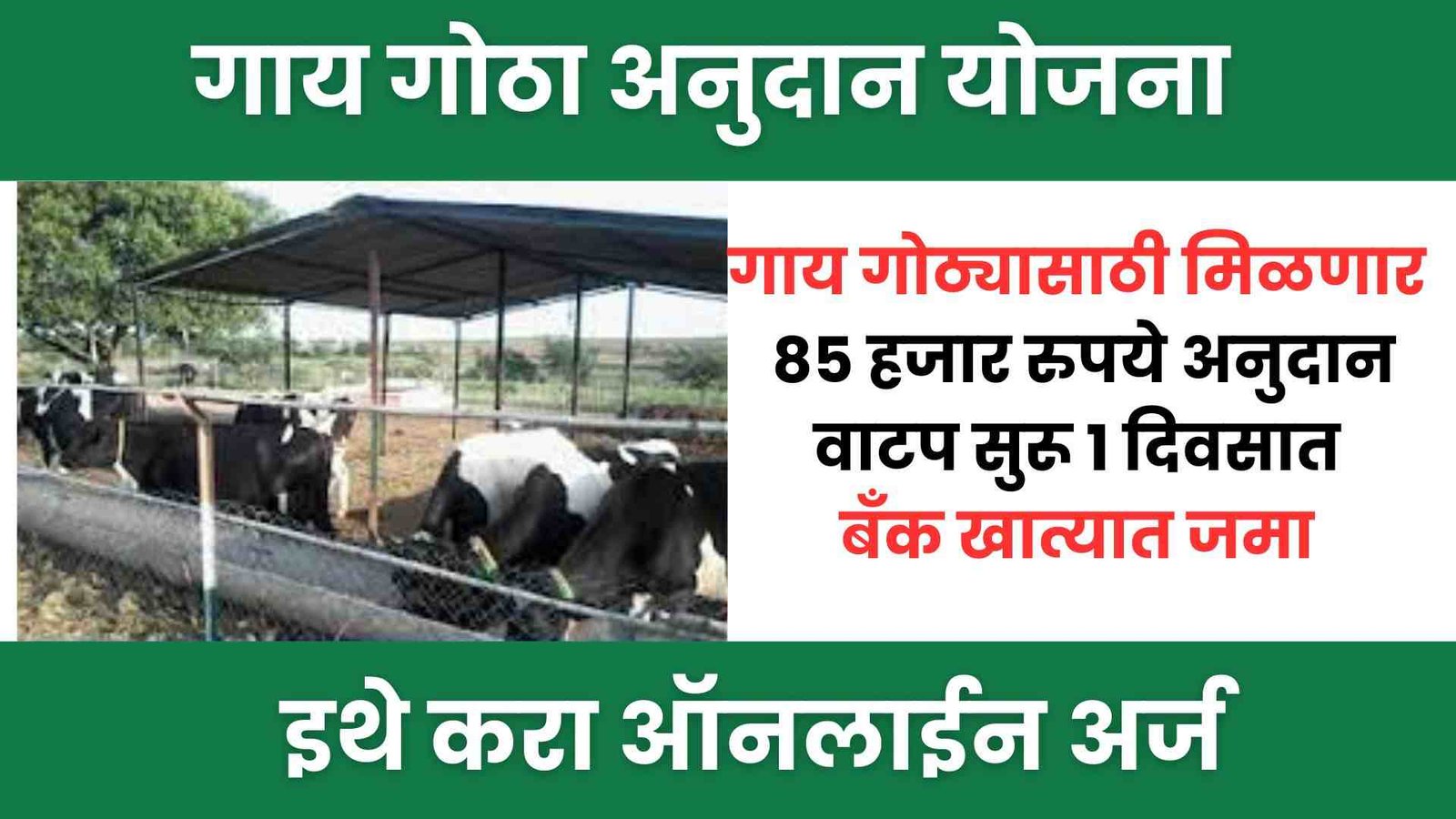 NABARD Dairy Farming Subsidy Schemes