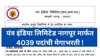 प्रीती झिंटाच्या गाण्यावर आजीने आपली जादू दाखवली 20241006 175422 0000 768x432 1