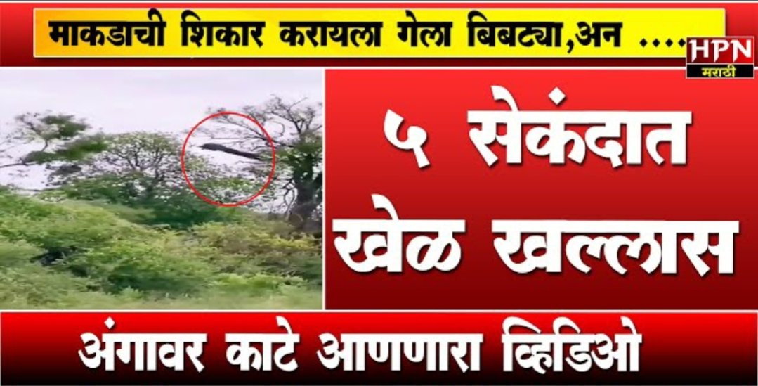 IMG 20251002 093840 1