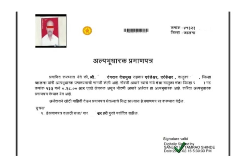 IMG 20251011 131131