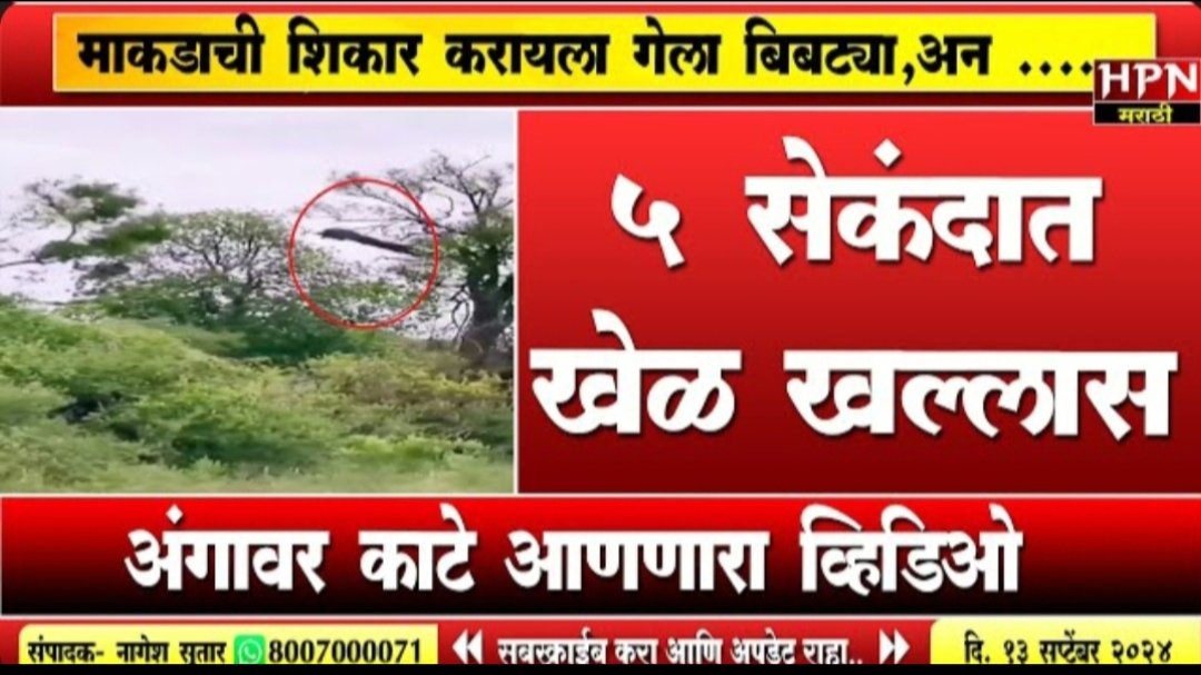 IMG 20251122 160628 1